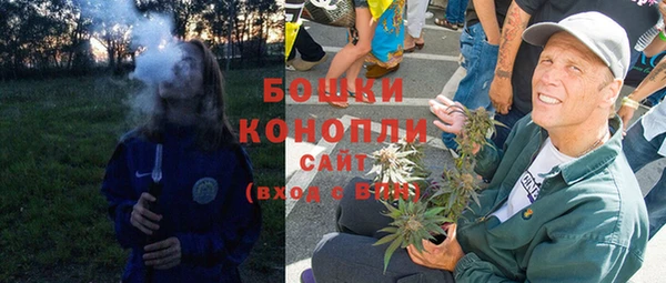 сатива Арсеньев