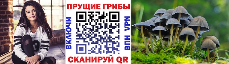 Псилоцибиновые грибы ЛСД  купить   Можайск 